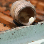 1820790-dunyanin-en-pahali-yiyecegi-fiyatini-duyunca-soke-olacaksiniz-6859106c24841.png