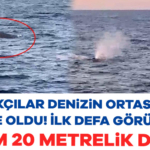 907656-balikcilar-denizin-ortasinda-soke-oldu-ilk-defa-goruldu-tam-20-metrelik-dev-68614b9ced515.jpg