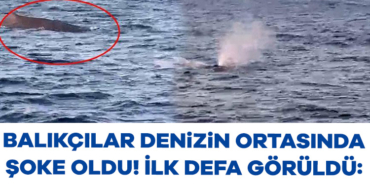 907656-balikcilar-denizin-ortasinda-soke-oldu-ilk-defa-goruldu-tam-20-metrelik-dev-68614b9ced515.jpg