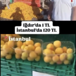 gusmtvxxgaaryki-1751297662-932-x750.jpeg