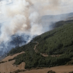 1822382-orman-yanginlari-sonucu-onlarca-kisi-6863802522dea.png