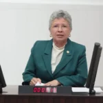 chp-li-yontar-zeytini-komure-feda-etmek-gelecege-ihanettir-1751383591-538_large.webp.webp