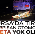 907988-bursa-da-tirla-carpisan-otomobil-adeta-yok-oldu-6864b08c2856b.jpg