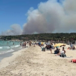 izmirdeki-yangin-cesmeye-de-sicradi-rs7y.jpg