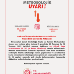 gvafr92w8aax3vm-1751659193-502-x750.png