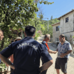 1827748-sugoren-koyunde-ortadan-kaybolan-kubilay-ekipler-tarafindan-bulundu-687ce05903f9f.png