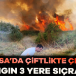 911004-bursa-da-ciftlikte-cikan-yangin-3-yere-sicradi-687d27936b112.jpg
