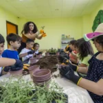 mersin-toroslar-da-hayal-gucu-kampuste-buyuyor-1753010533-703_large.webp.webp