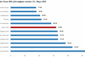 screenshot-2025-07-21-at-10-33-13-tuik-kurumsal-1753083204-461-x750.png