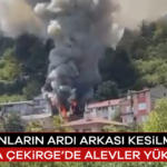 912063-yanginlarin-ardi-arkasi-kesilmiyor-bursa-cekirge-de-alevler-yukseldi-6885f49deeab1.jpg