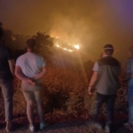 1822334-manisa-ahmetli-de-cikan-orman-yangini-salihli-ye-ulasti-68630f4d956f8.jpg
