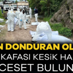907820-kan-donduran-olay-6-si-kafasi-kesik-halde-20-ceset-bulundu-68630453c6787.jpg
