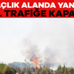 913346-agaclik-alanda-yangin-yol-trafige-kapandi-6890a77706adc.jpg