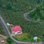 ordu-da-ulasimda-yeni-donem-fatsa-korgan-baglanti-yolu-asfaltlaniyor-1754307086-440_large.webp.webp