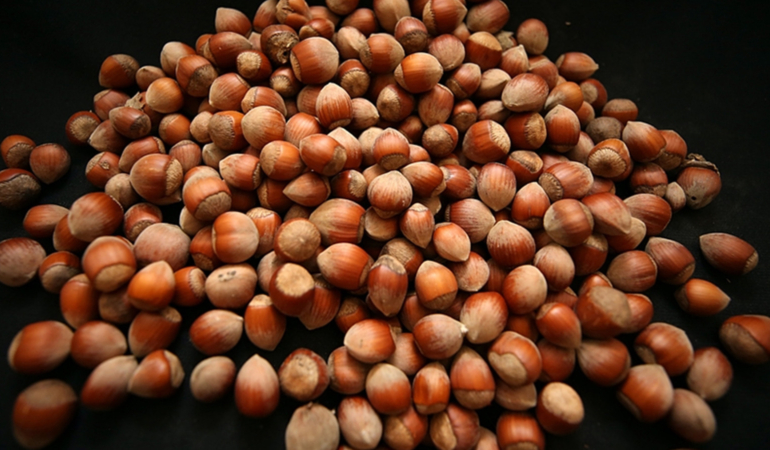 findik-fiyatlarini-kotu-etkileyecek-rekolte-uyarisi-yapildi-0uwd.jpg