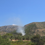 bodrumda-ev-yangini-ormana-sicramadan-sonduruldu-2oi5.jpg