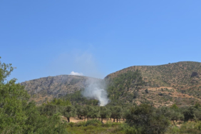 bodrumda-ev-yangini-ormana-sicramadan-sonduruldu-2oi5.jpg