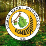ogm-orman-yanginlarindan-sonra-yapilan-calismalari-acikladi-10sf.jpg