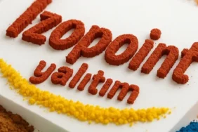 izopoint-yalitim-dan-sektore-guclu-cikis-kalite-ve-bayilik-agiyla-buyuyor-1755511219-170_large.webp.webp
