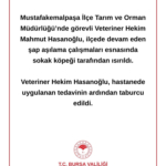 gyvjl-awyaabu9j-1755633518-406-x750.jpeg
