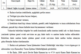 screenshot-2025-08-20-at-10-51-14-microsoft-word-20250820-carsamba-20250820-3-1-pdf-1755676287-869-x.png