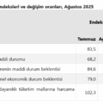 screenshot-2025-08-21-at-10-13-52-tuik-kurumsal-1755760441-456-x750.png