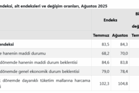 screenshot-2025-08-21-at-10-13-52-tuik-kurumsal-1755760441-456-x750.png