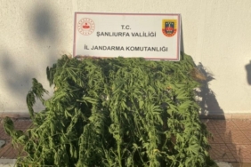 1838382-jandarmadan-uyusturucu-operasyonu-68ac5e16d851c.jpg