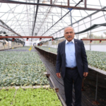 ordu-da-ilk-kez-uretildi-6506-1756219773-915-x750.jpeg