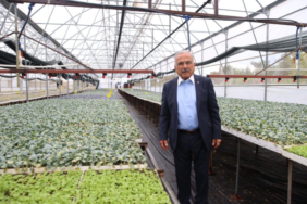 ordu-da-ilk-kez-uretildi-6506-1756219773-915-x750.jpeg