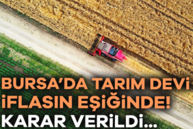 916919-bursa-da-tarim-devi-iflasin-esiginde-karar-verildi-68afed76dc915.jpg