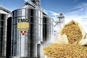 tmo-nun-ithalat-ihalelerine-yeni-duzenleme-1756289732-836_large.webp.webp