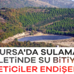 917145-bursa-da-sulama-goletinde-su-bitiyor-ureticiler-endiseli-68b16c09f347f.jpg