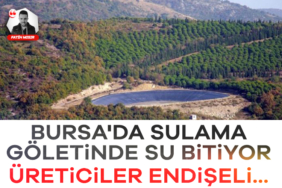 917145-bursa-da-sulama-goletinde-su-bitiyor-ureticiler-endiseli-68b16c09f347f.jpg