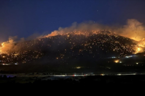 denizlide-orman-yangini-kontrol-altina-alindi-hijb.jpg