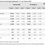 screenshot-2025-08-29-at-10-37-56-tuik-kurumsal-1756453087-923-x750.png