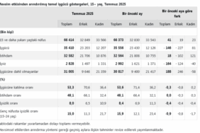 screenshot-2025-08-29-at-10-37-56-tuik-kurumsal-1756453087-923-x750.png