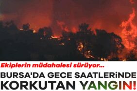 917654-bursa-da-gece-saatlerinde-korkutan-yangin-ekiplerin-mudahalesi-suruyor-68b62613c4a9d.jpg