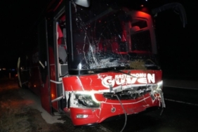 1841833-yola-cikan-hayvanlara-otobus-ve-cip-carpti-3-inek-telef-oldu-68bb6ab8cf91f.jpg