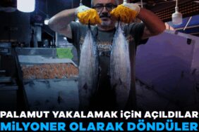 918191-palamut-yakalamak-icin-acildilar-milyoner-olarak-karaya-donduler-68bb4e3a038fc.jpg