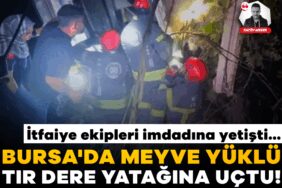 918391-bursa-da-meyve-yuklu-tir-dere-yatagina-uctu-yarali-surucuyu-itfaiye-ekipleri-kurtardi-68bdf3c.jpeg