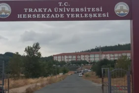 kesan-belediyesi-goreve-davet-edildi-uzun-otlar-temizlenmeyi-bekliyor-1757501411-636_large.webp.webp