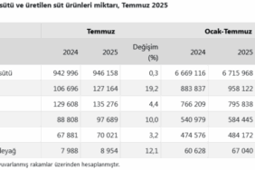 screenshot-2025-09-12-at-14-16-20-tuik-kurumsal-1757675789-349-x750.png