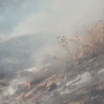 1844167-bursa-da-supheli-yangin-bilerek-atese-verdiler-68c6a6d6a7e00.png