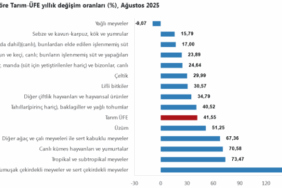 screenshot-2025-09-15-at-10-16-08-tuik-kurumsal-1757920594-811-x750.png