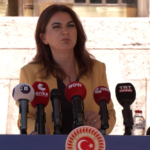 dem-parti-grup-baskanvekili-gulistan-kilic-kocyigit-komisyonun-yasalari-da-konusmasi-gerekiyor-ojlf.jpeg