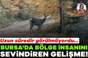 924899-bursa-da-bolge-insanini-sevindiren-gelisme-uzun-suredir-gorulmuyordu-68fe3bcaa2a42.jpg