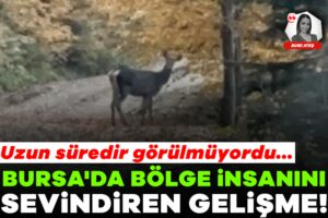 924899-bursa-da-bolge-insanini-sevindiren-gelisme-uzun-suredir-gorulmuyordu-68fe3bcaa2a42.jpg