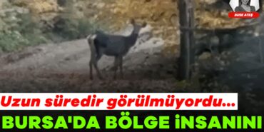 924899-bursa-da-bolge-insanini-sevindiren-gelisme-uzun-suredir-gorulmuyordu-68fe3bcaa2a42.jpg
