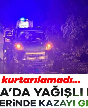 925074-bursa-da-feci-kaza-hafif-ticari-arac-surucusu-hayatini-kaybetti-68fff4957d94a.jpg